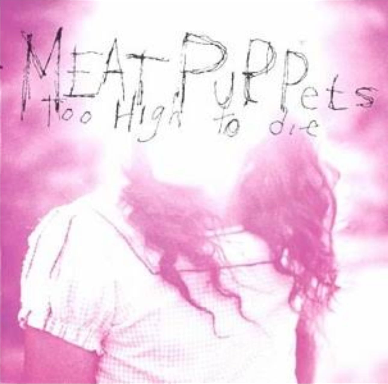 Meat Puppets - Too High To Die