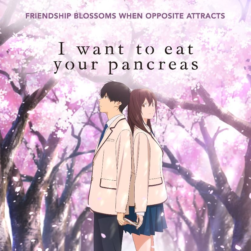 I want to eat your pancreas