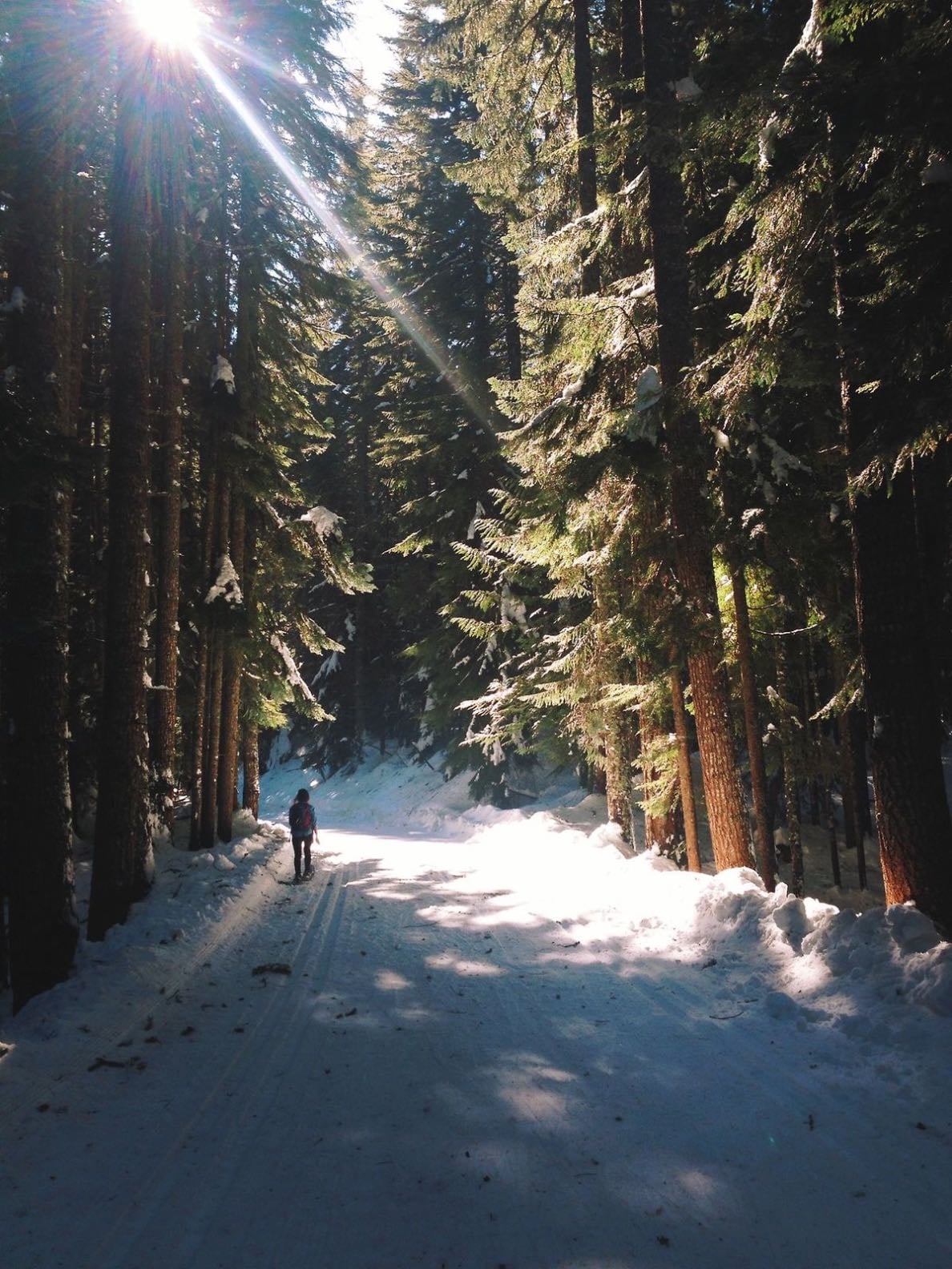 go on a winter nature walk