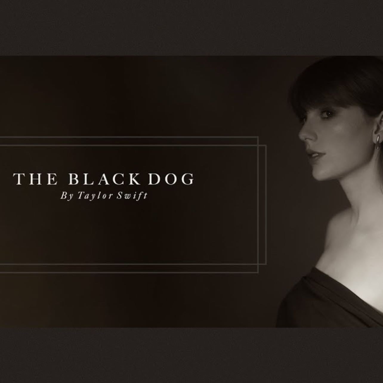 7. The Black dog