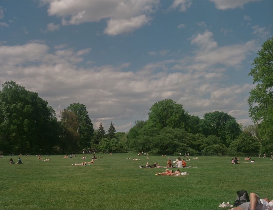 Solo picnic in park - Book, blanket and food