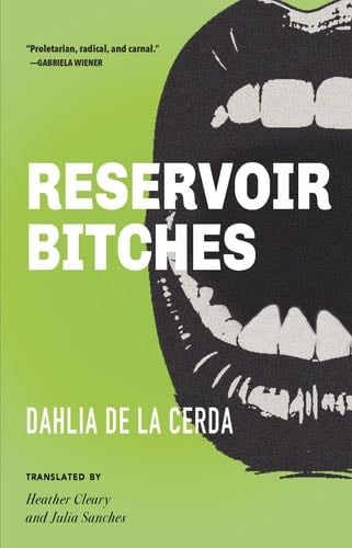 Reservoir Bitches: Stories - Dahlia de la Cerda · 2024