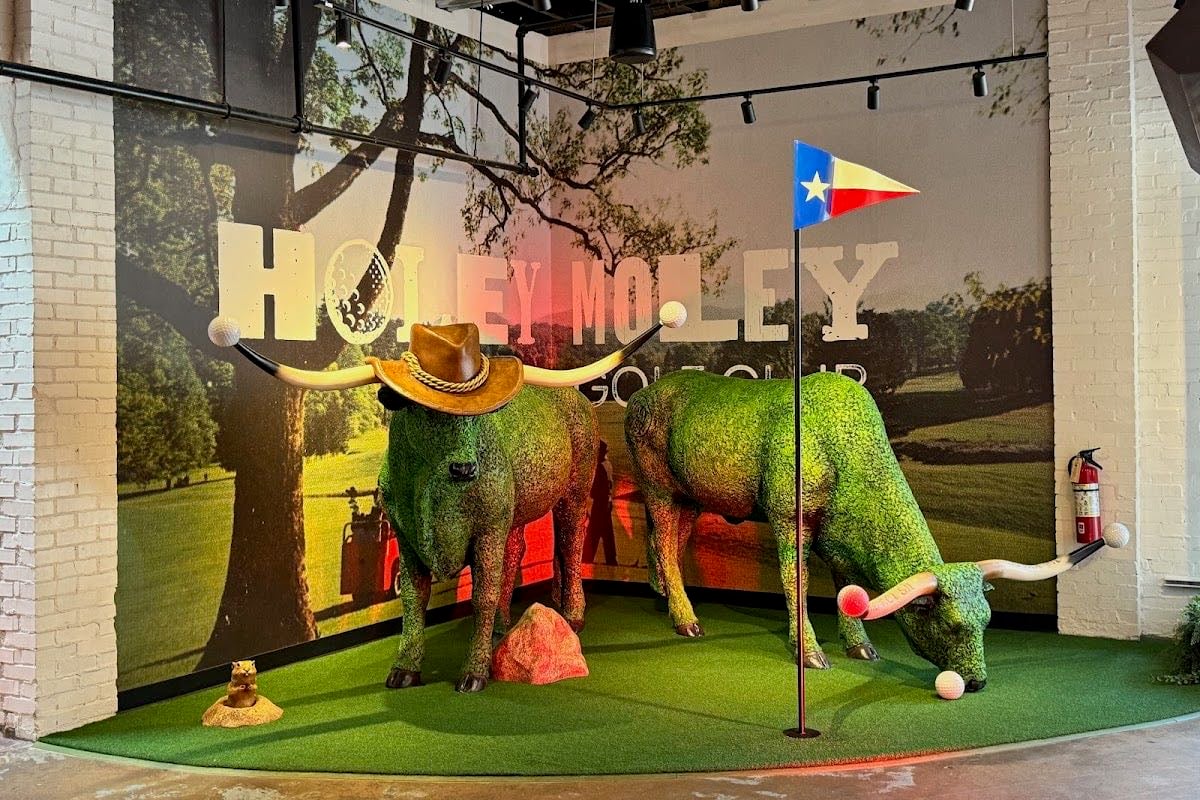 Holey Moley Golf Club Austin