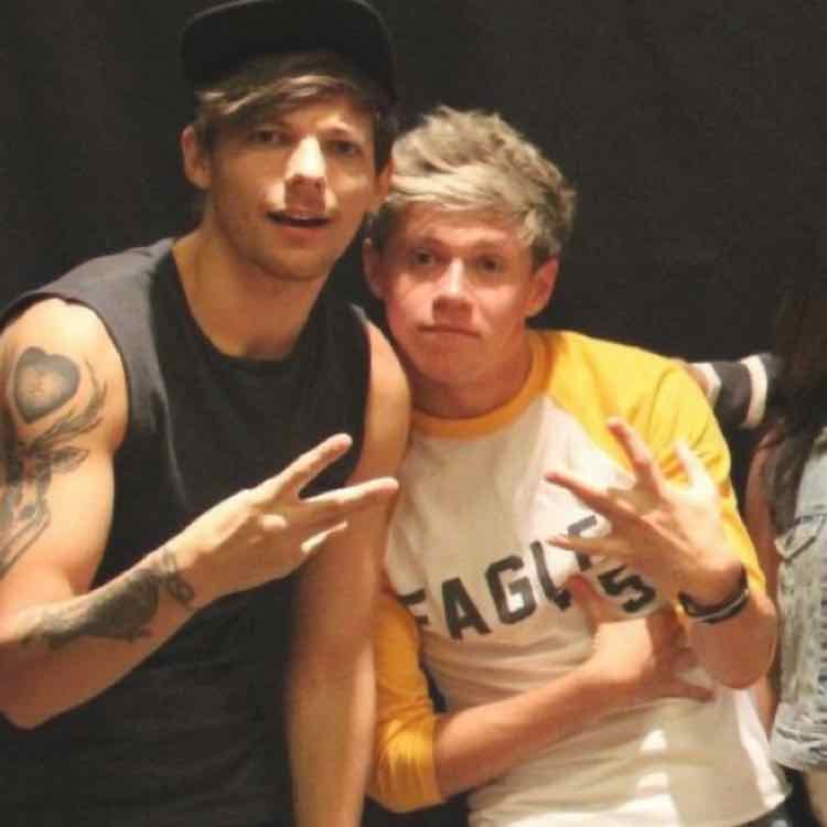 LOUIS AND NIALL 🫶🏻🫶🏻 - Niall has always been my safe space. Whether im happy, sad, or i just want to listen to music, Niall has and always will be my first option. He is just a normal guy who loves to make people happy. He was always unappreciated in 1D, and seeing him live really made me wonder if he was a real person. He understands people like no other person i know and whatever you say, he will listen 100%. Louis is also such an underrated person. People said he couldnt sing, and they were soooo wrong. Louis has had the biggest comeback ever and he knows that we are so proud of him, but he never lets that get in the way of his life. He is so considerate and makes me want to question everything 😀