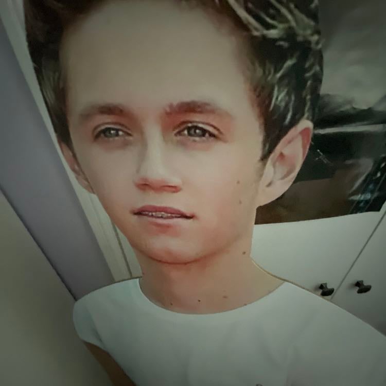 Niall ❤️ - Niall has always been my fav person ever he’s so kind to everyone and even though he only knows some of his fans he loves everyone the same. He doesn’t even think twice about being there for others and helping out and he deserves the world. I have trust issues with people sometimes but he actually makes me feel so safe and because he can’t talk to all of his fans, he does it in songs. He never leaves anyone out and when you feel sad him and his music is always there for you every time. Even though the world has made his life really tough he never gave up he gives people so much hope that we’ll be alright 😊