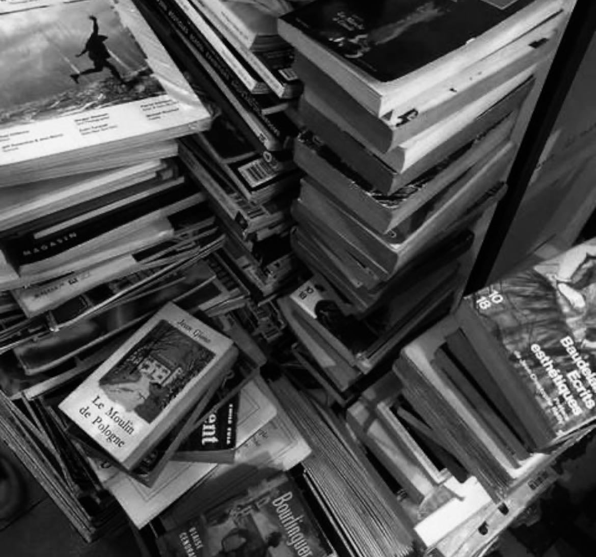 tbrs ₍ᐢ. .ᐢ₎ - Books hypelist by Fleur