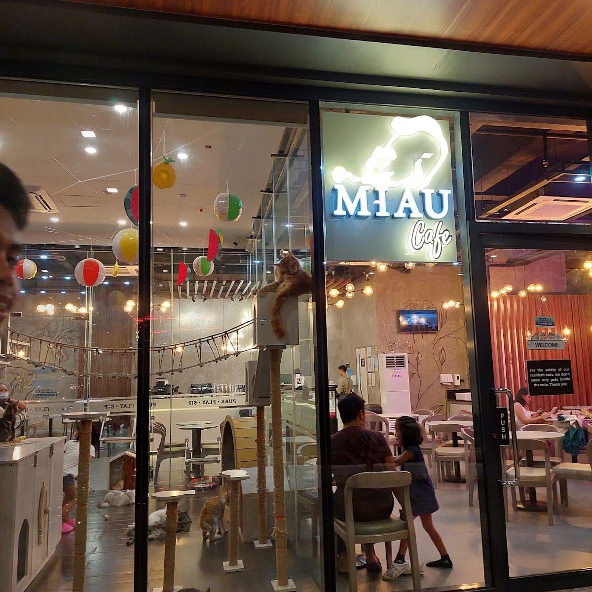 Miau Cafe