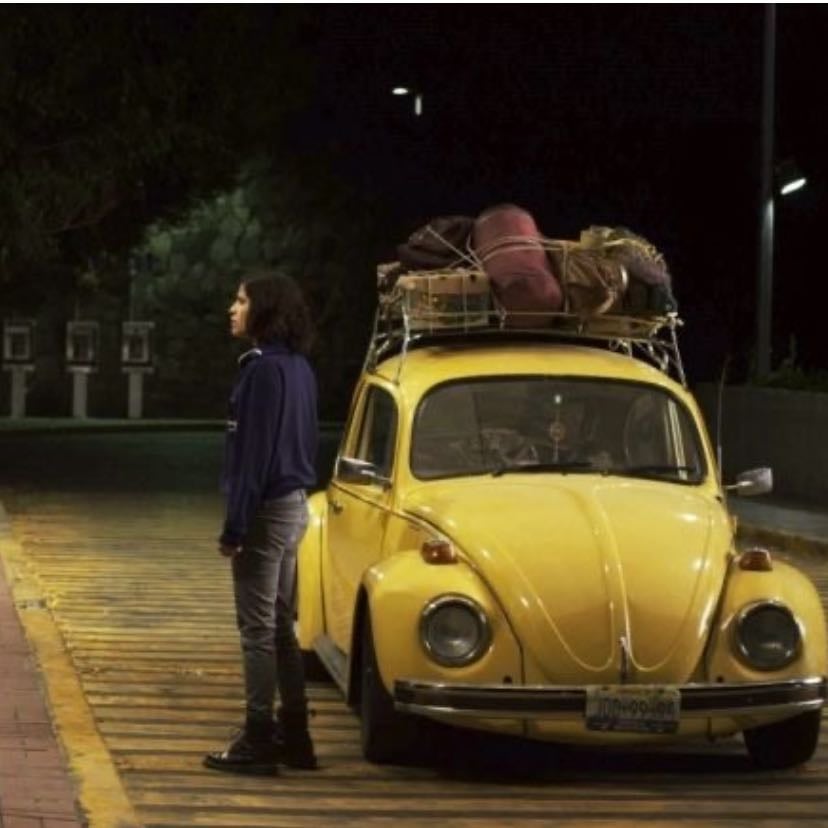 The Amazing Catfish - Claudia Sainte-Luce · 2013