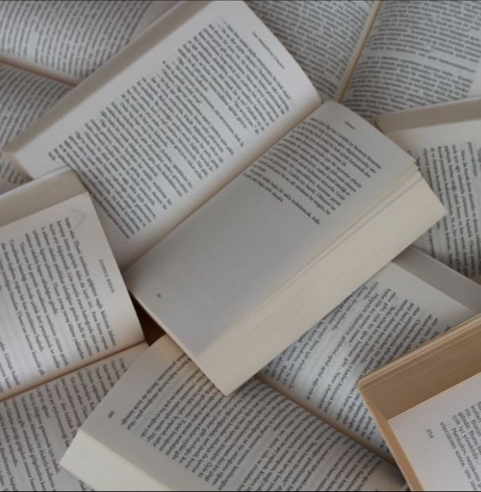 Libros leidos en 2025