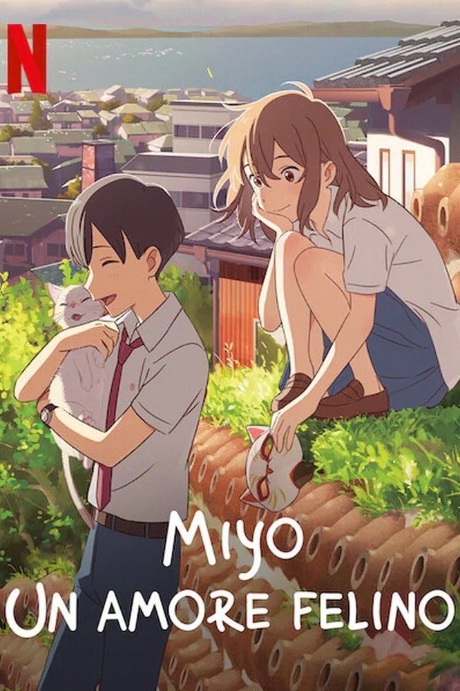 Amor de gata - 柴山智隆 · 2020