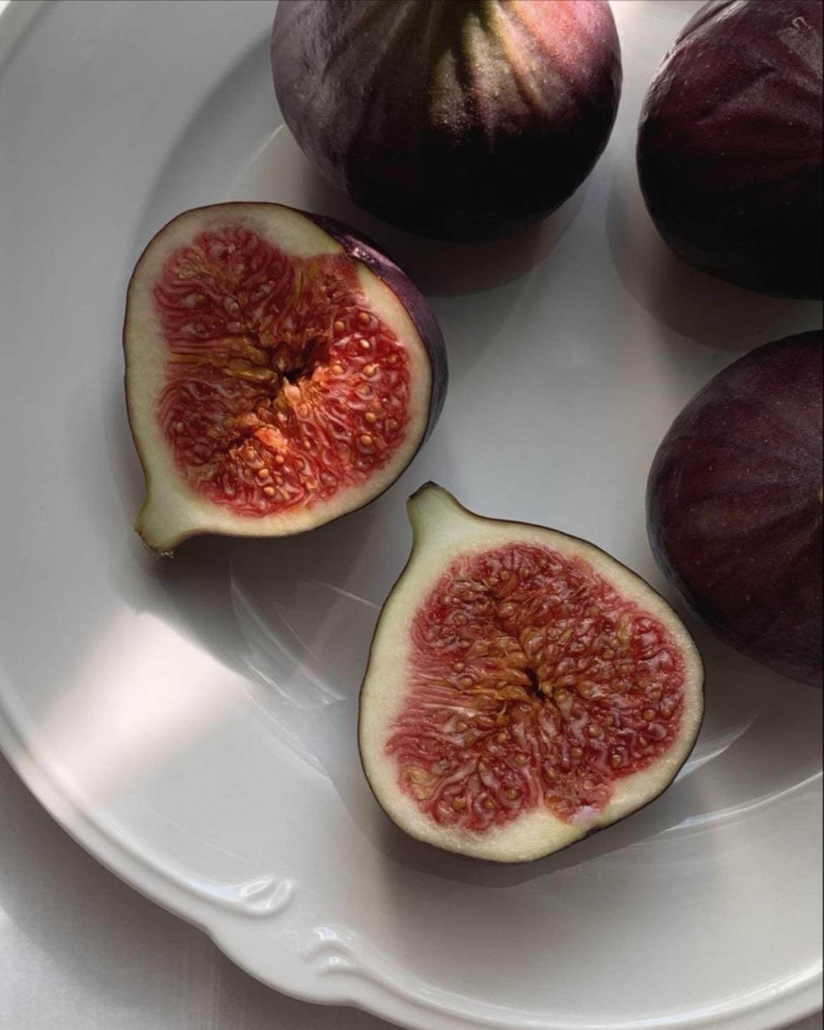 Fig