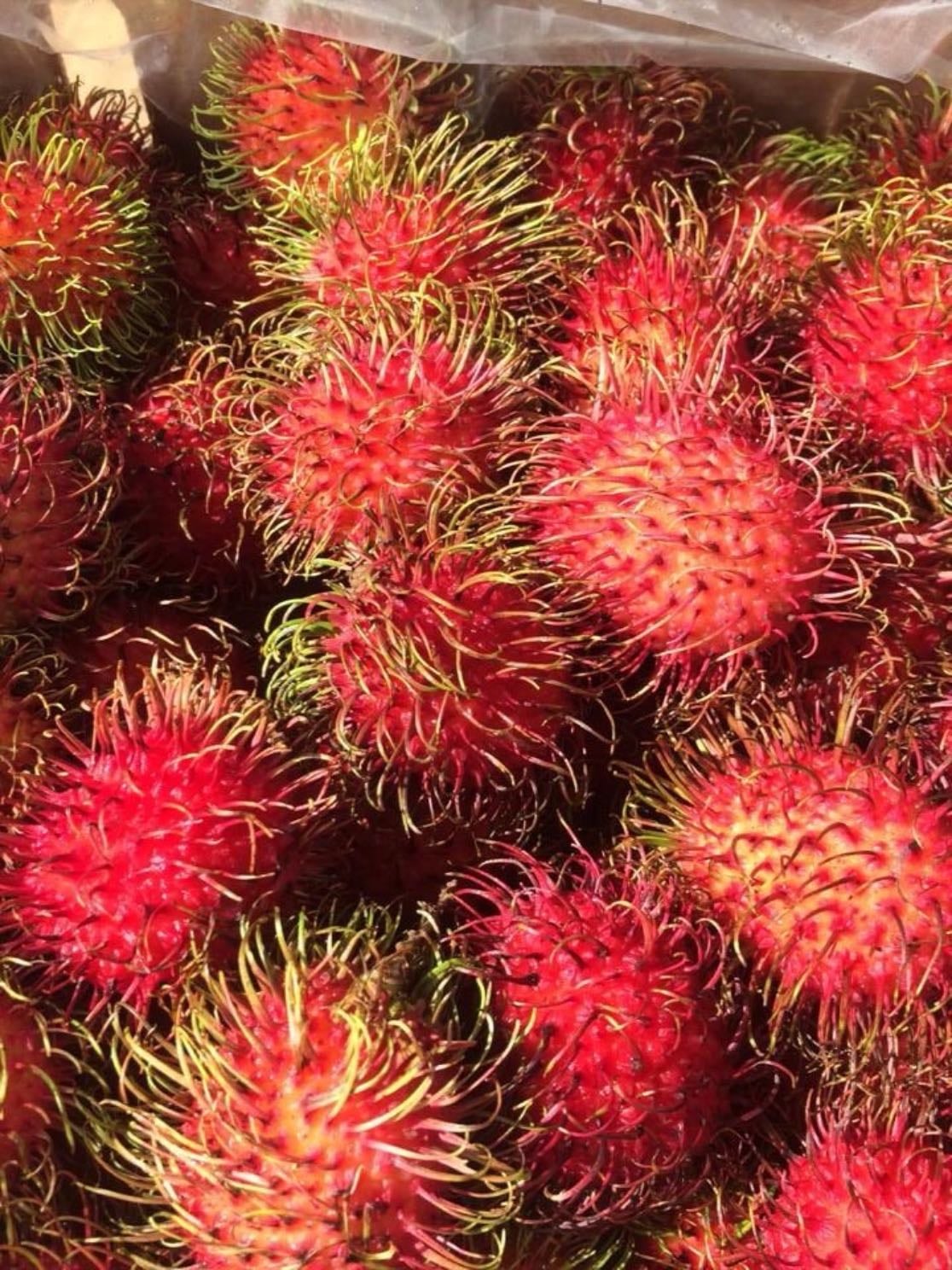 Rambutan
