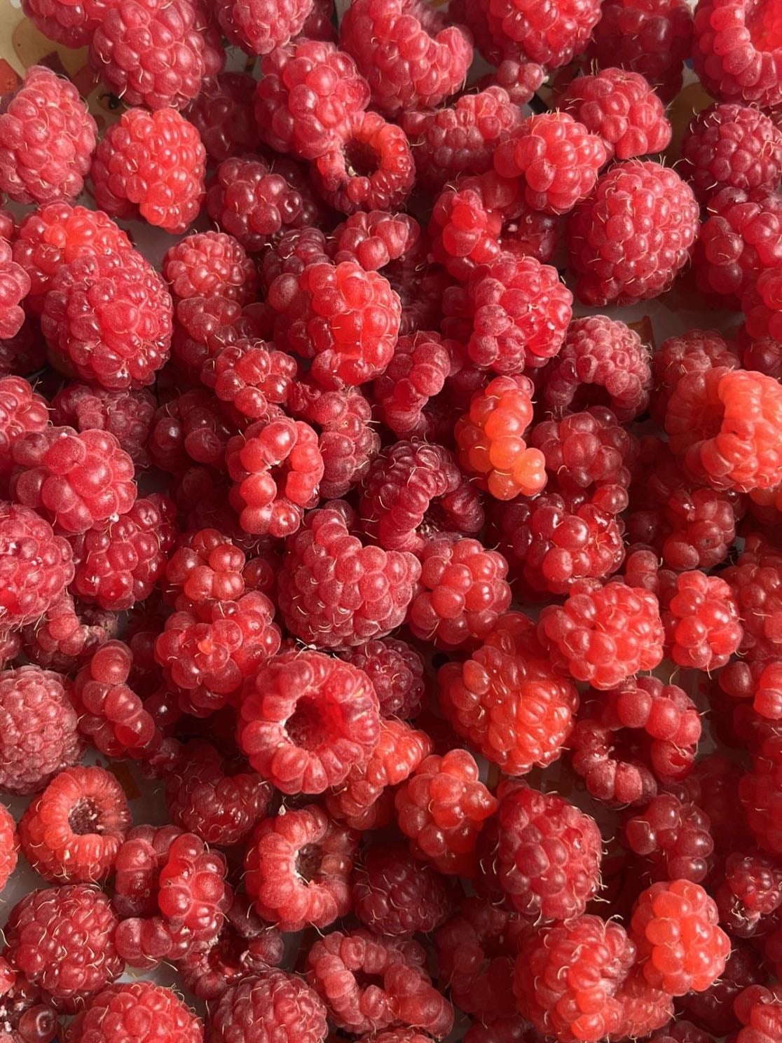 Raspberry
