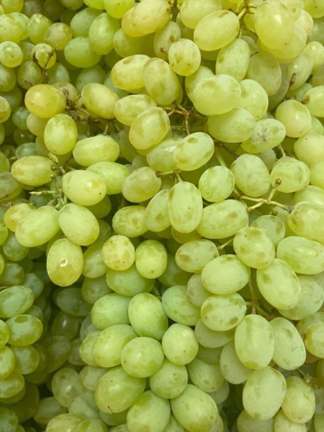 Green grape