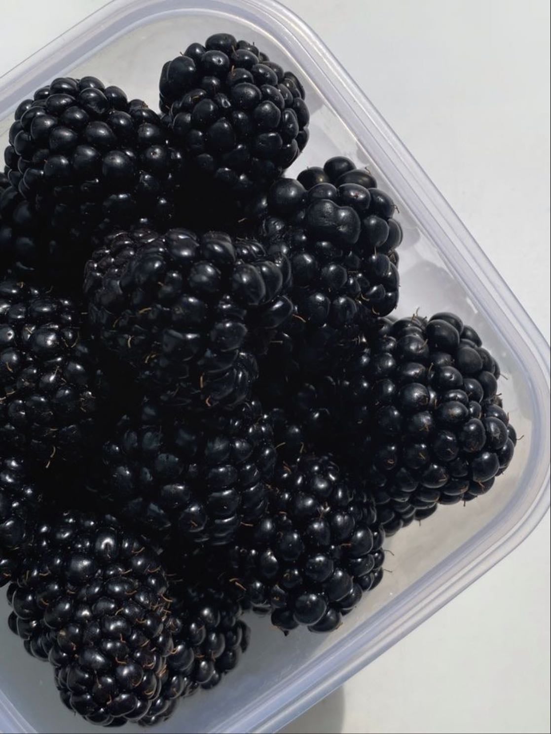Blackberry