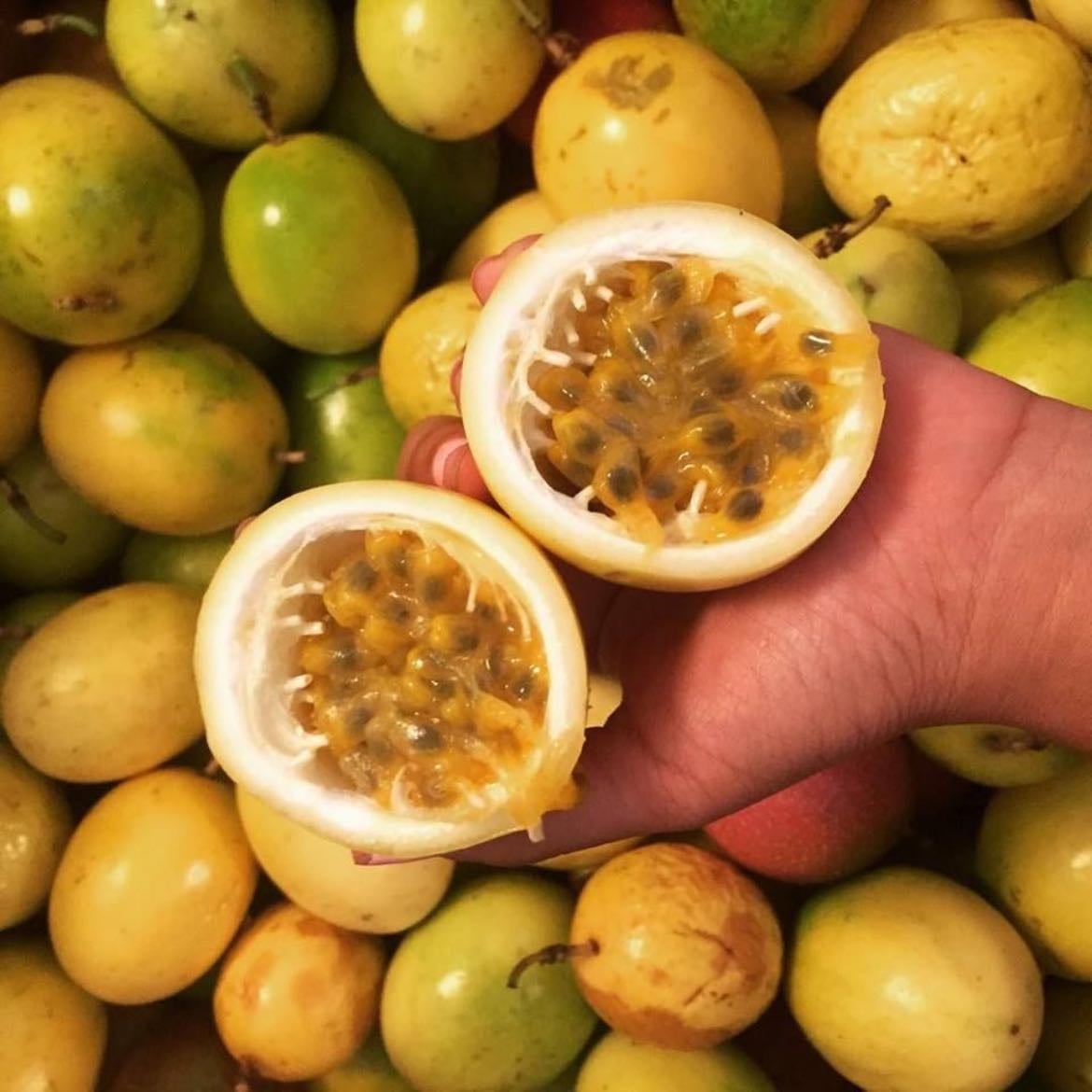 Maracuja