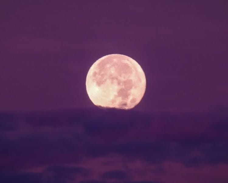 Canciones para manifestar 🧚♀️ - Music hypelist by Fersita