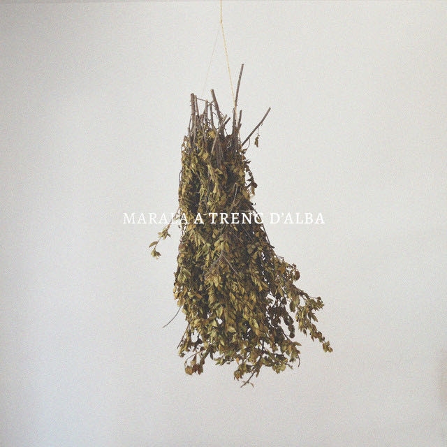 Carena - Song · Marala, Faneka