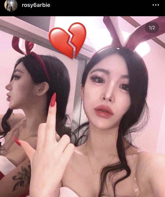 Rosy Barbie - Artist