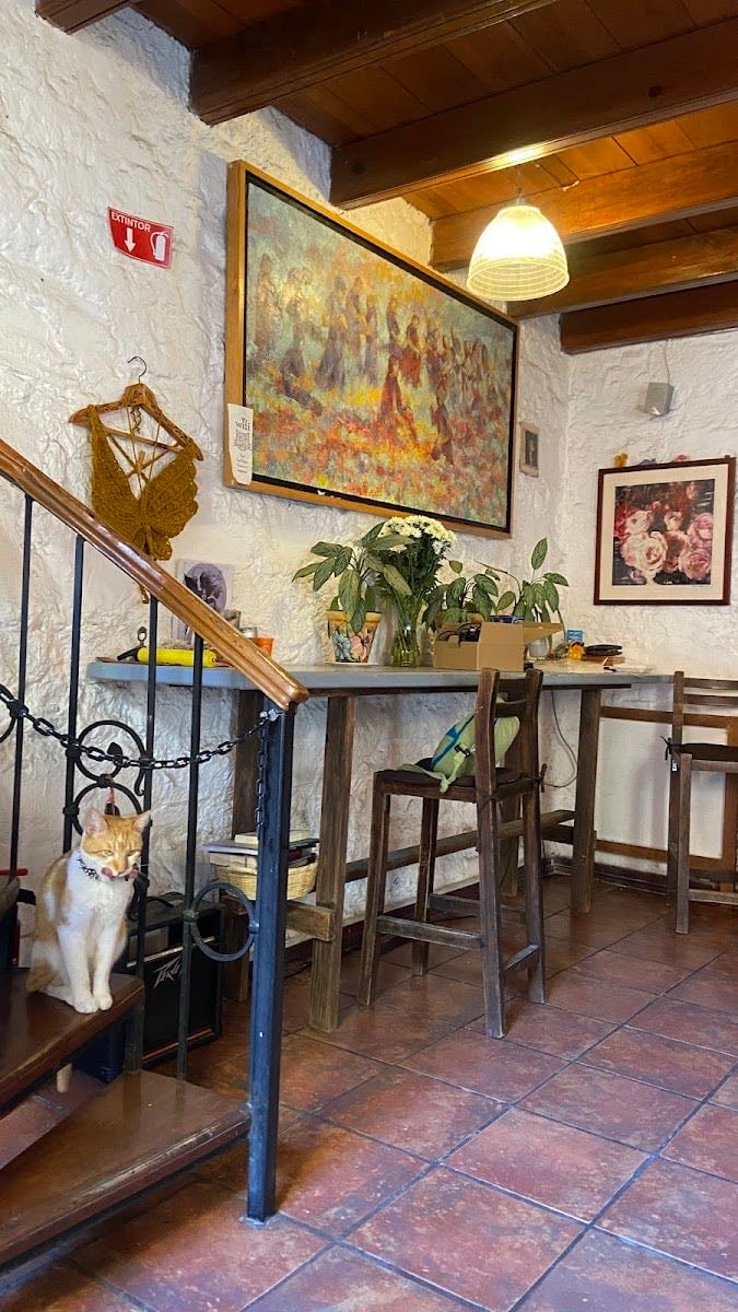 Los Gatos
