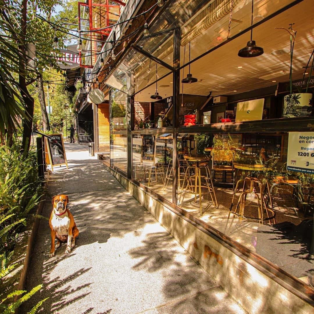 Lisa Café Bar