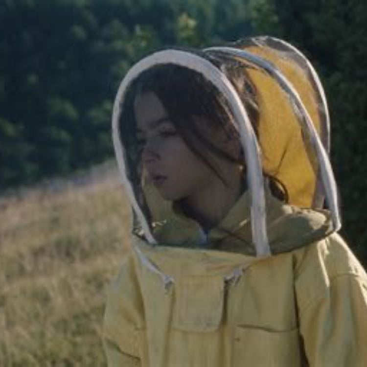 20,000 especies de abejas - Estibaliz Urresola Solaguren · 2023