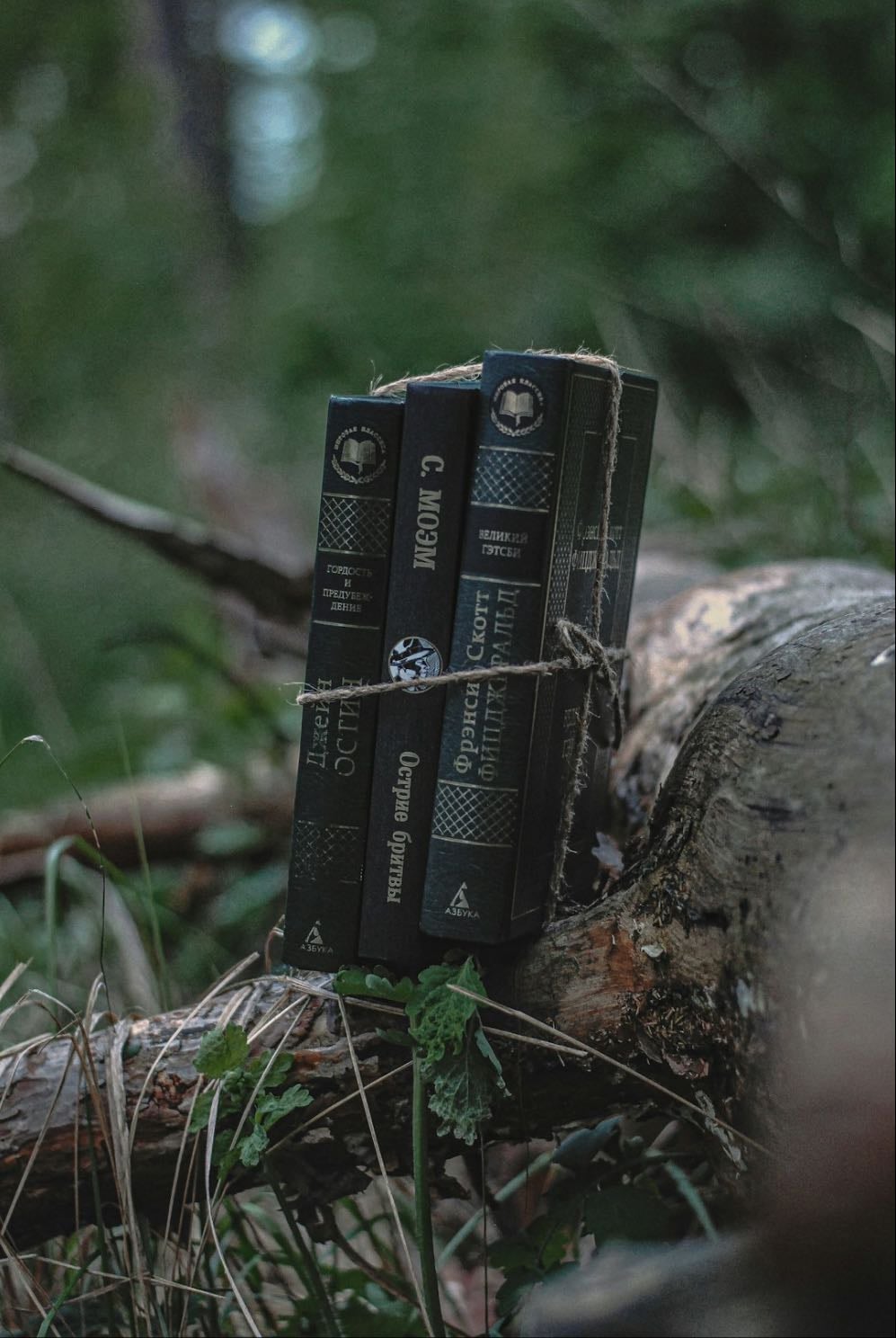 Three Gothic Novels