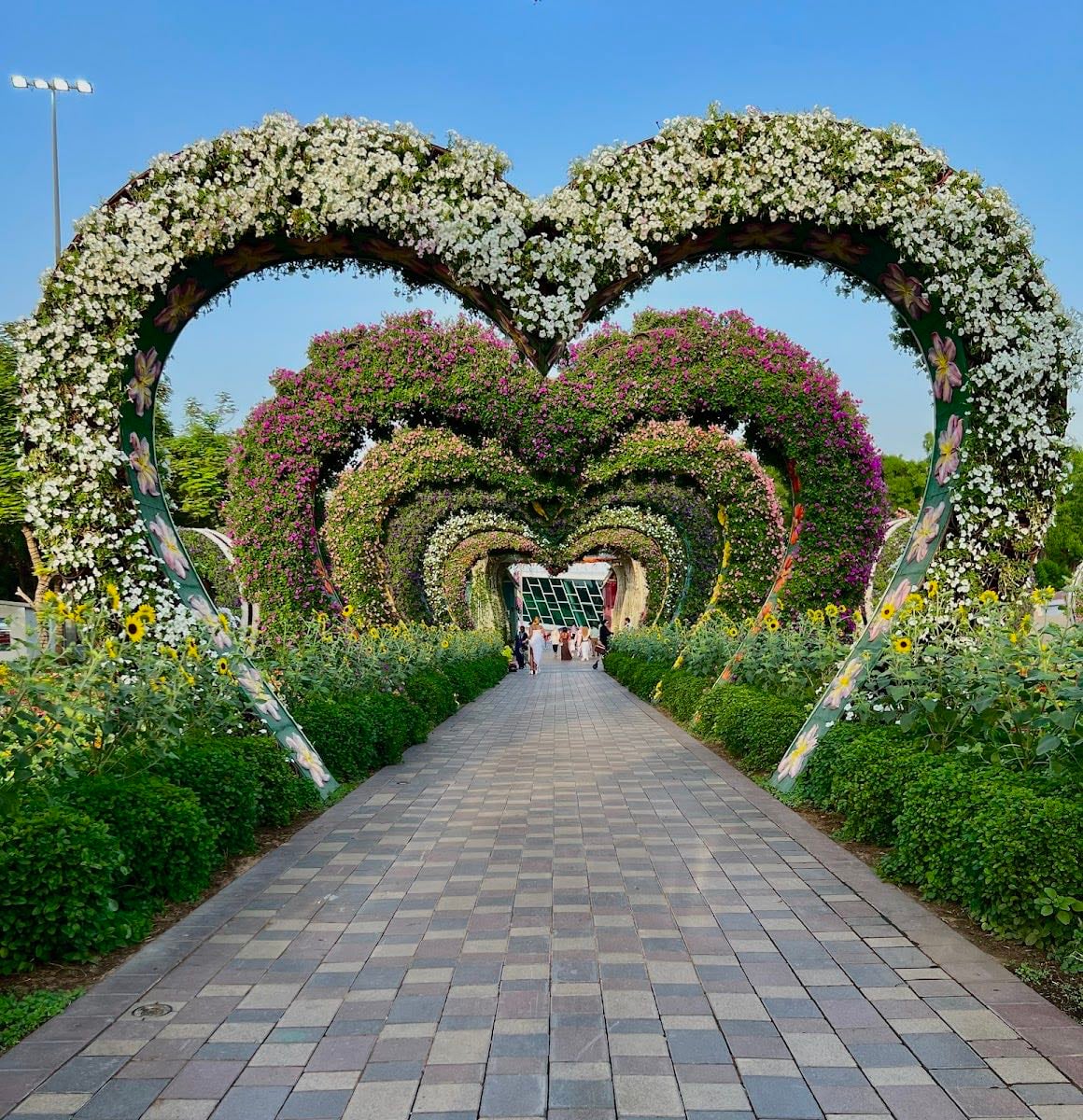 Miracle Garden