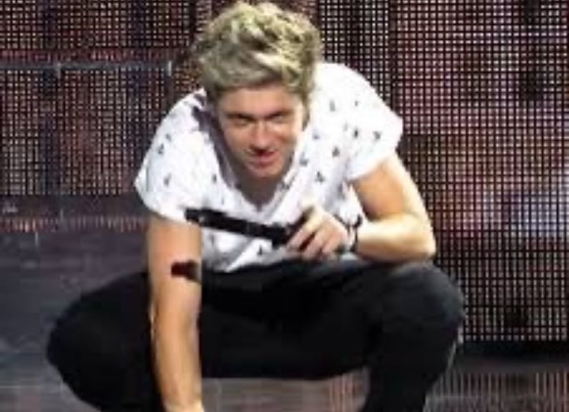 All Of Niall Horan Songs ✨☺️
