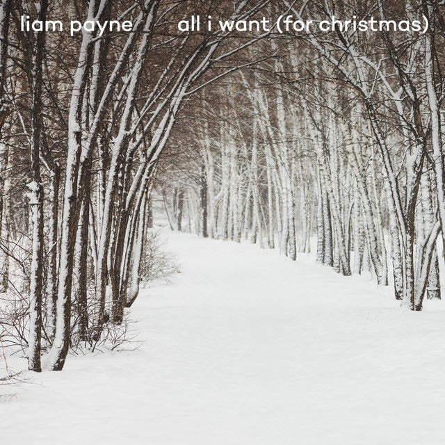 All I Want (For Christmas) - Song · Liam Payne