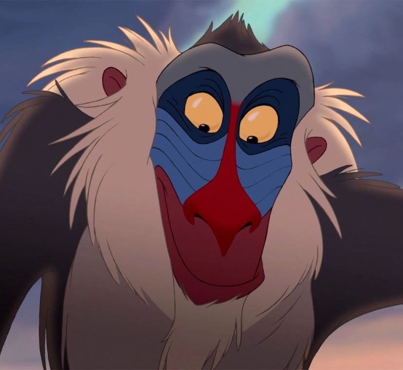 "The past can hurt. But the way I see it, you can either run from it, or learn from it." - Rafiki from ‘The Lion King’