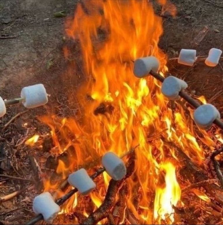 Feu de camps
