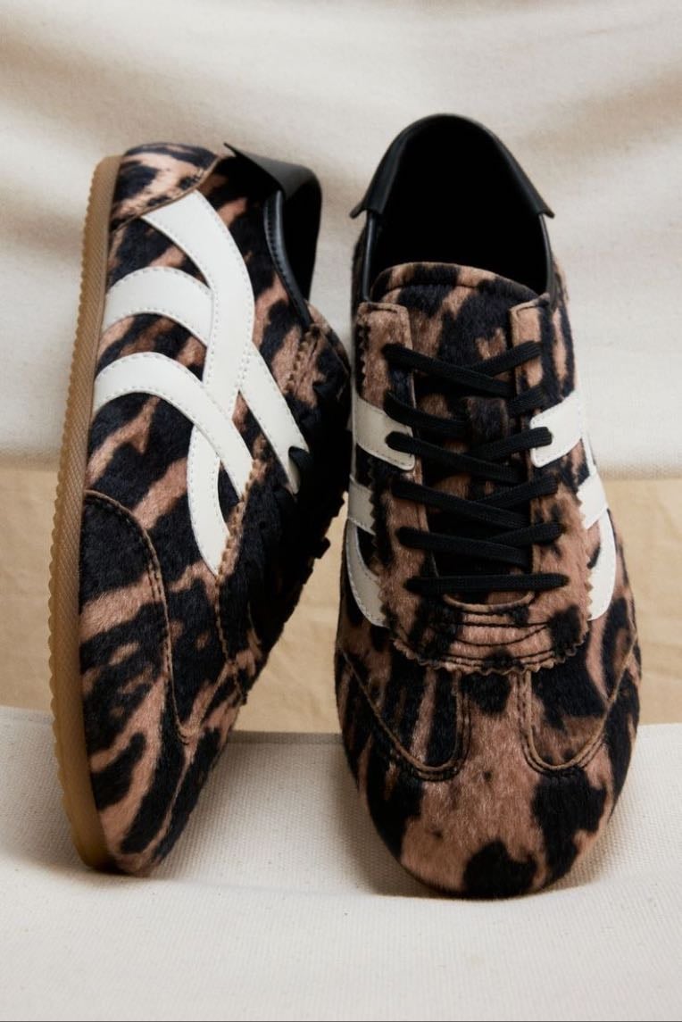 Leopard