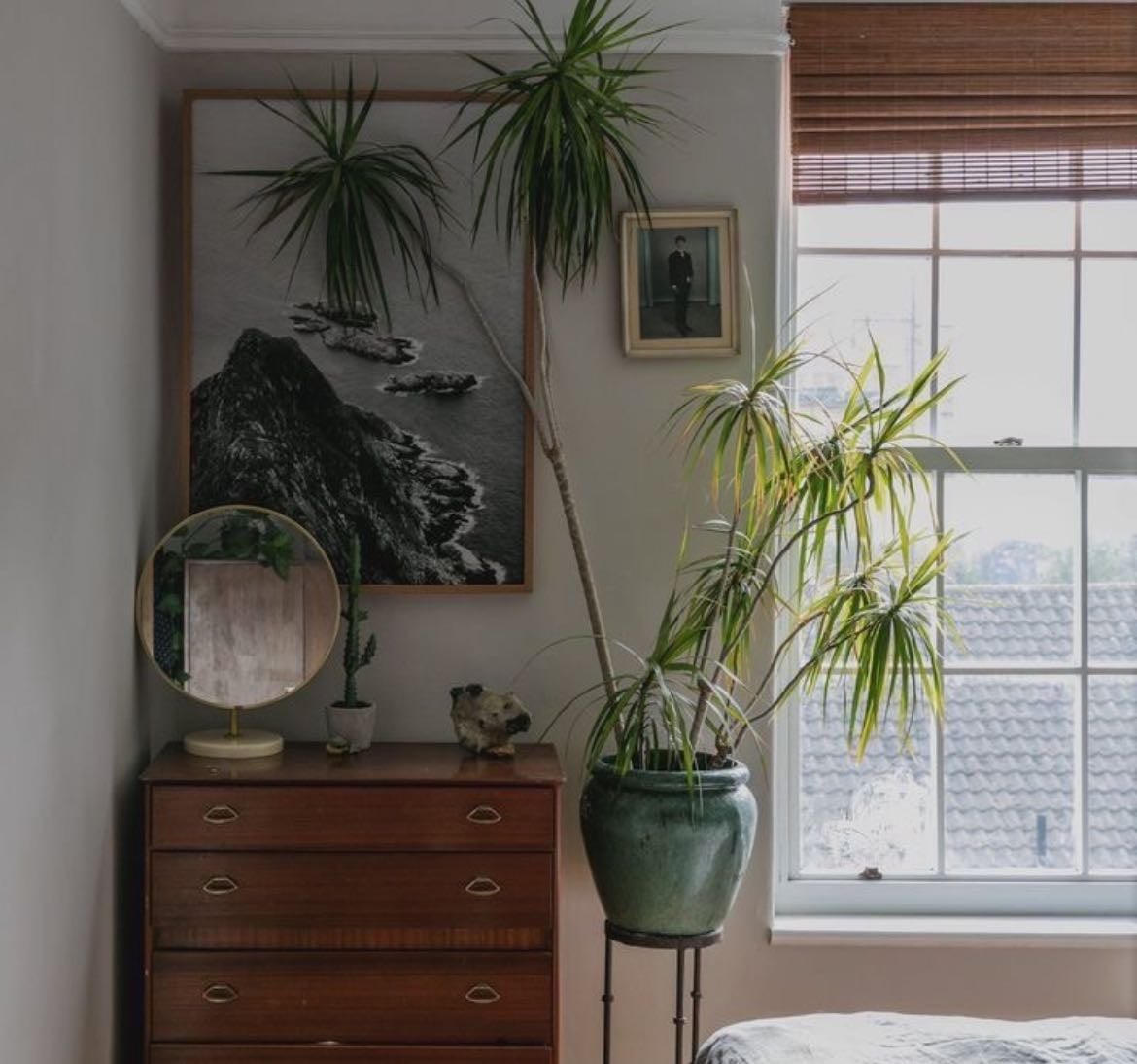 Favorite interior design trends