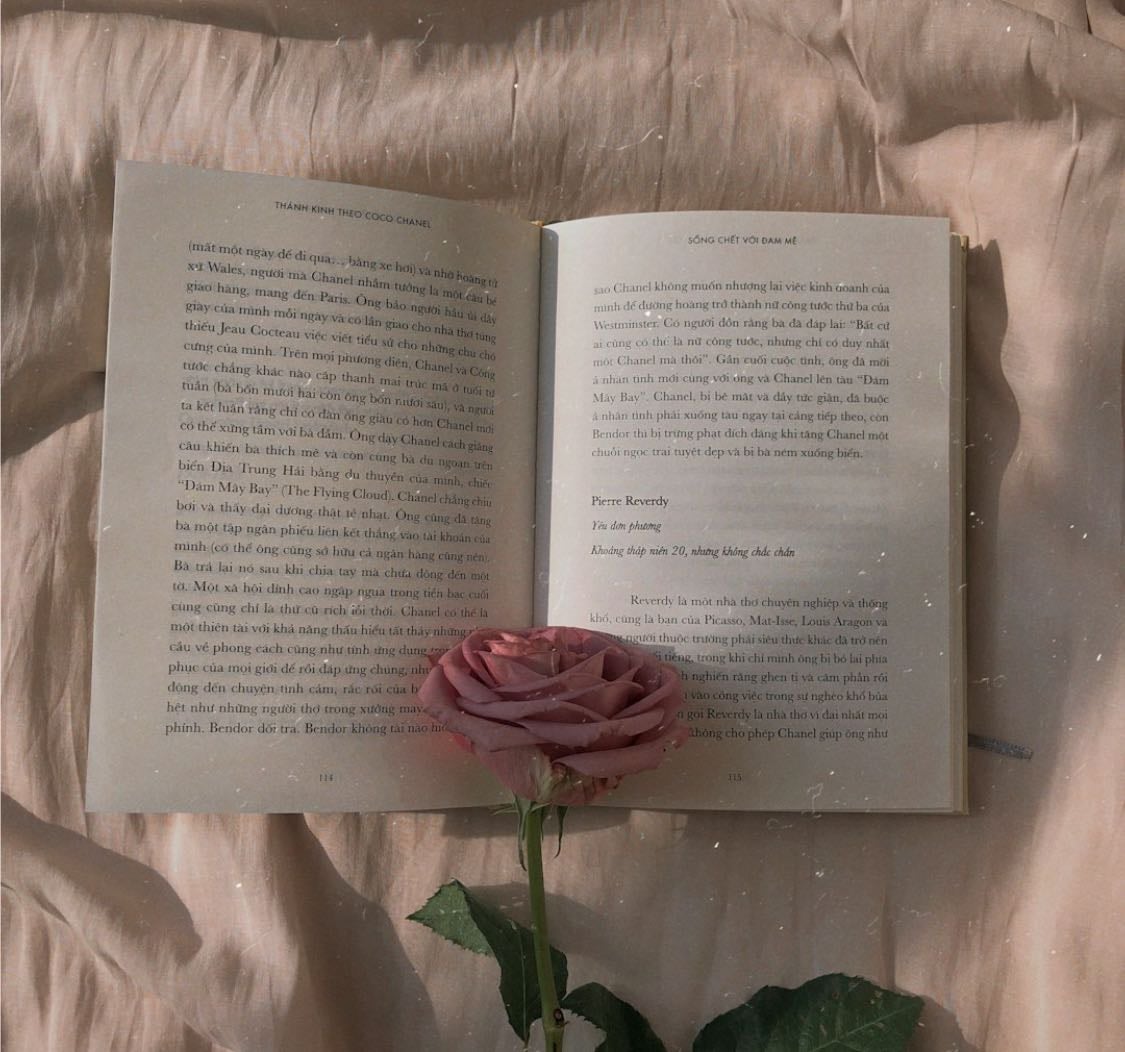 🌺 Livres new romance 🌺