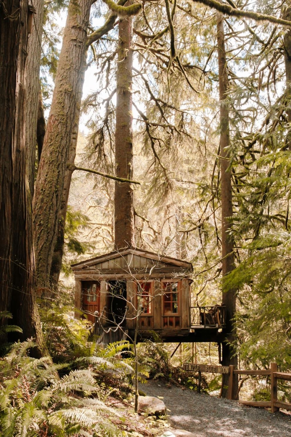 Treehouse