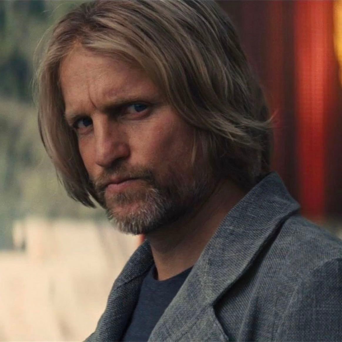 Haymitch Abernathy - Hunger Games