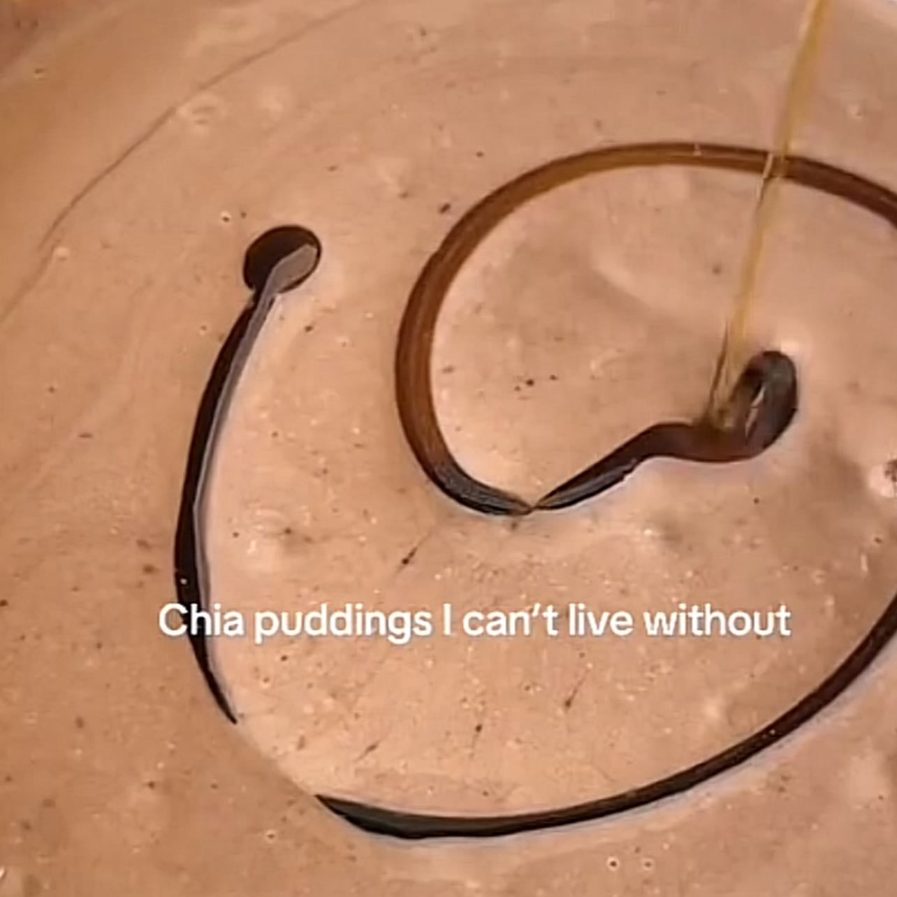 all chia puddings’