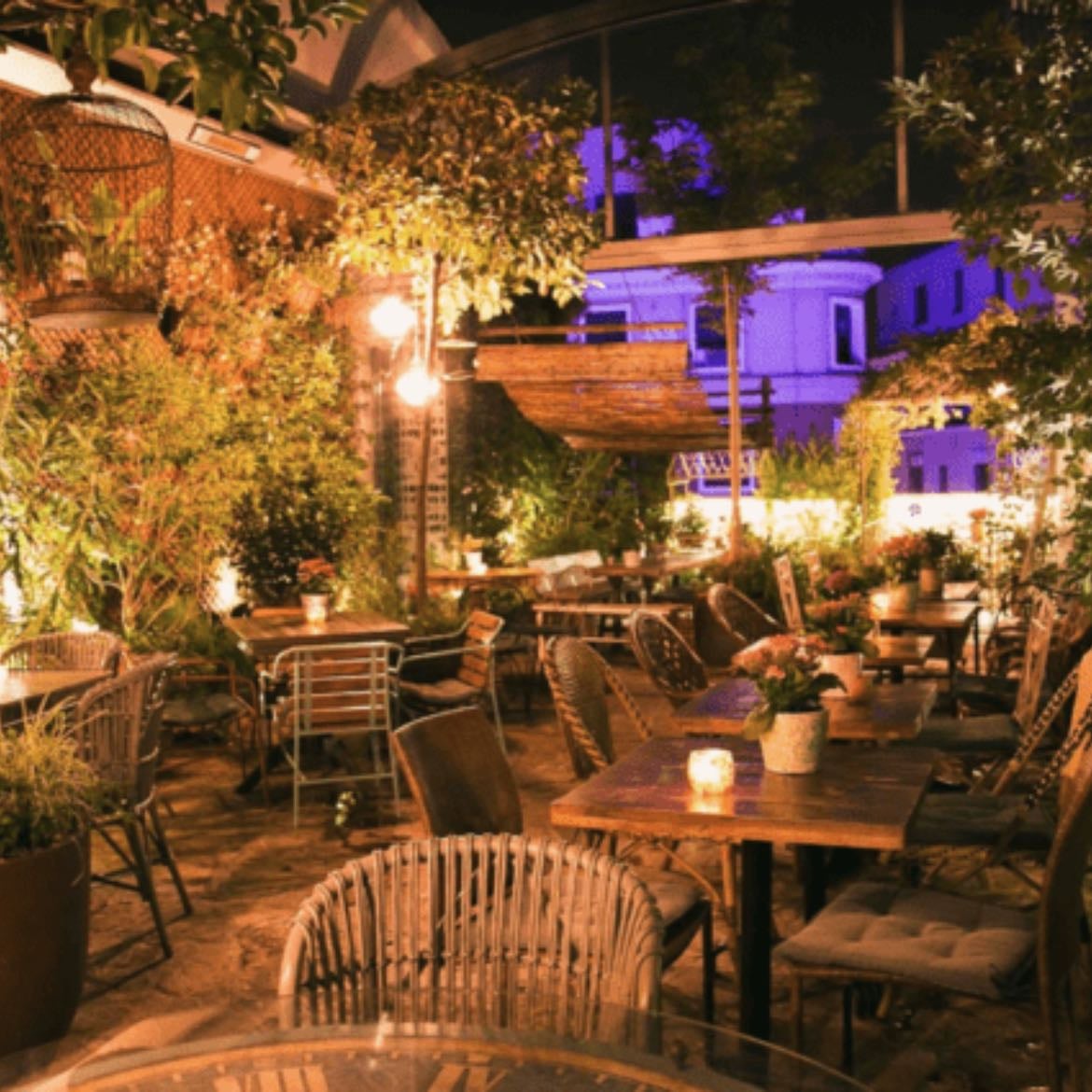 El Jardín de Salvador Bachiller