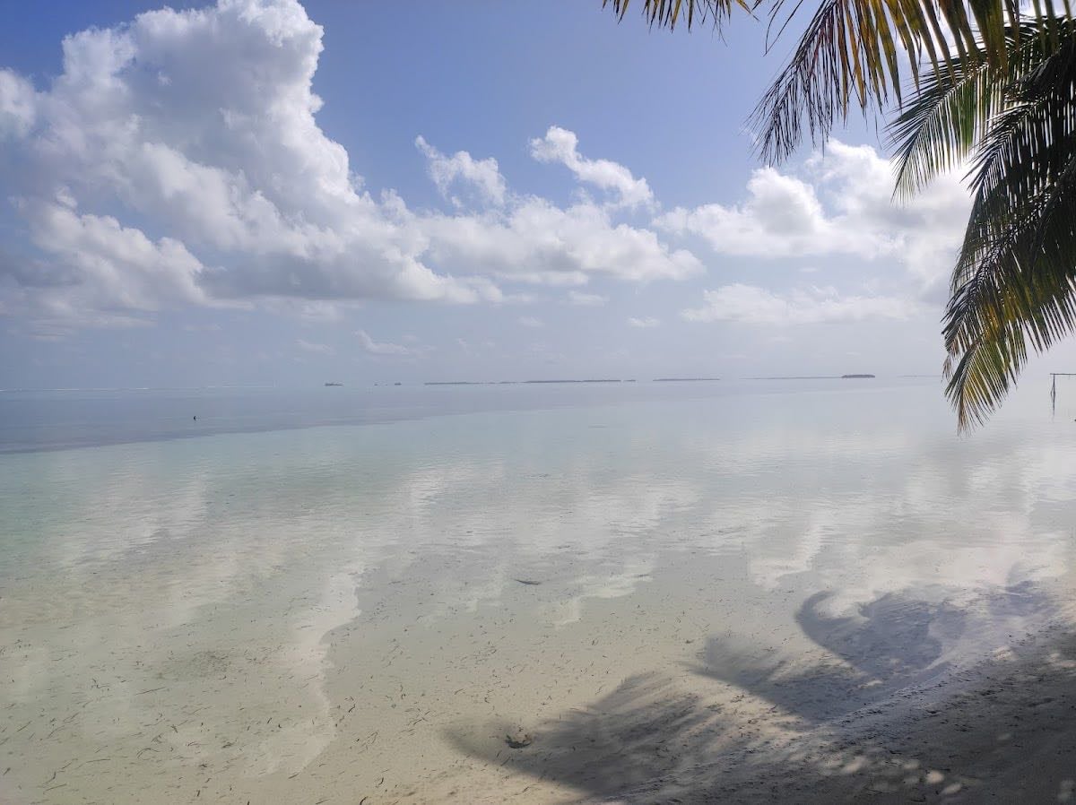 Vaadhoo North Beach - Playa bioluminiscente