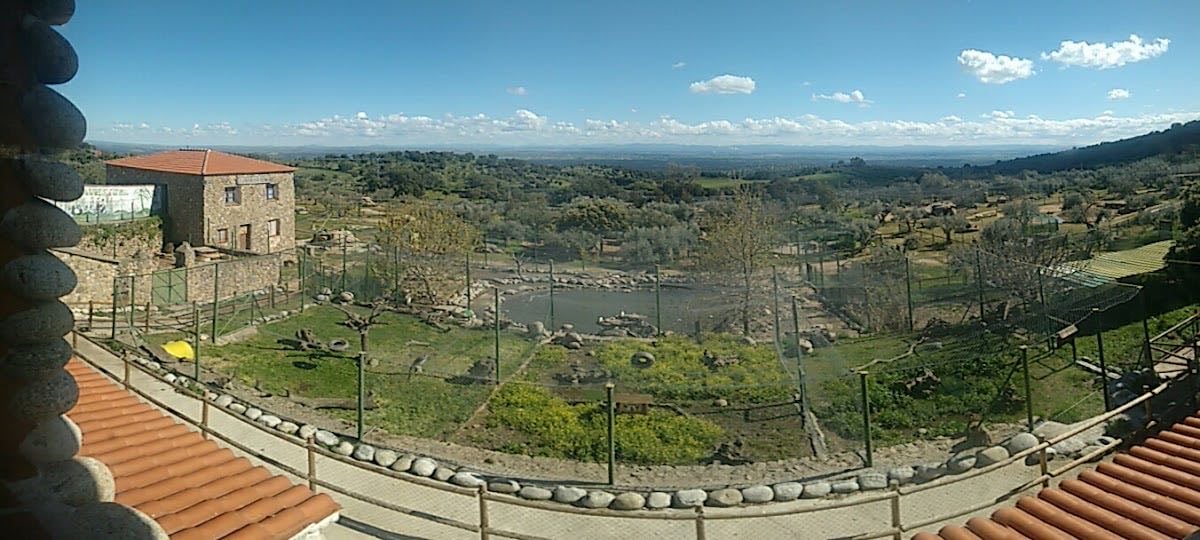 Zoo Safari Fauna Aventura - Al lado de Madrid (Puedes estar con los animales en libertad)