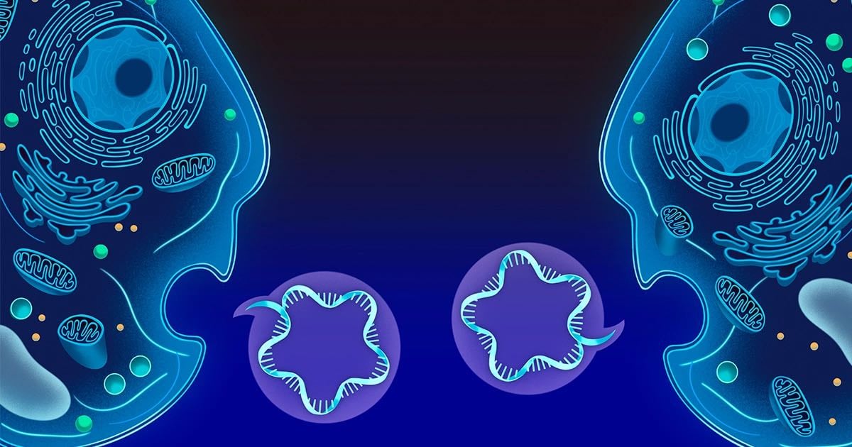 Cells Across the Tree of Life Exchange ‘Text Messages’ Using RNA | Quanta Magazine - Quanta Magazine