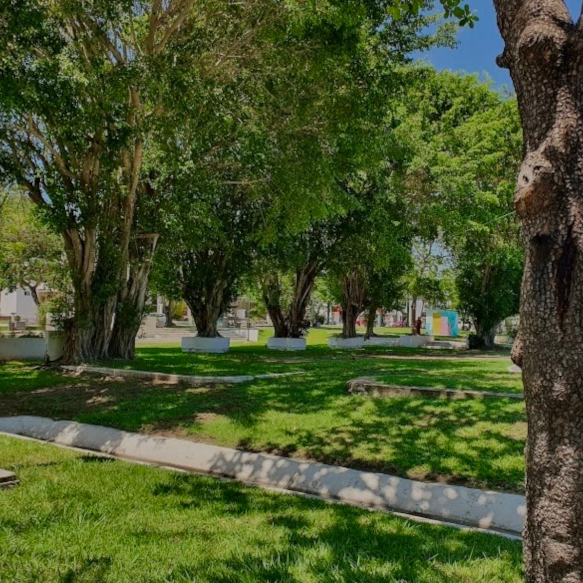 Parque Lomas de Rosales