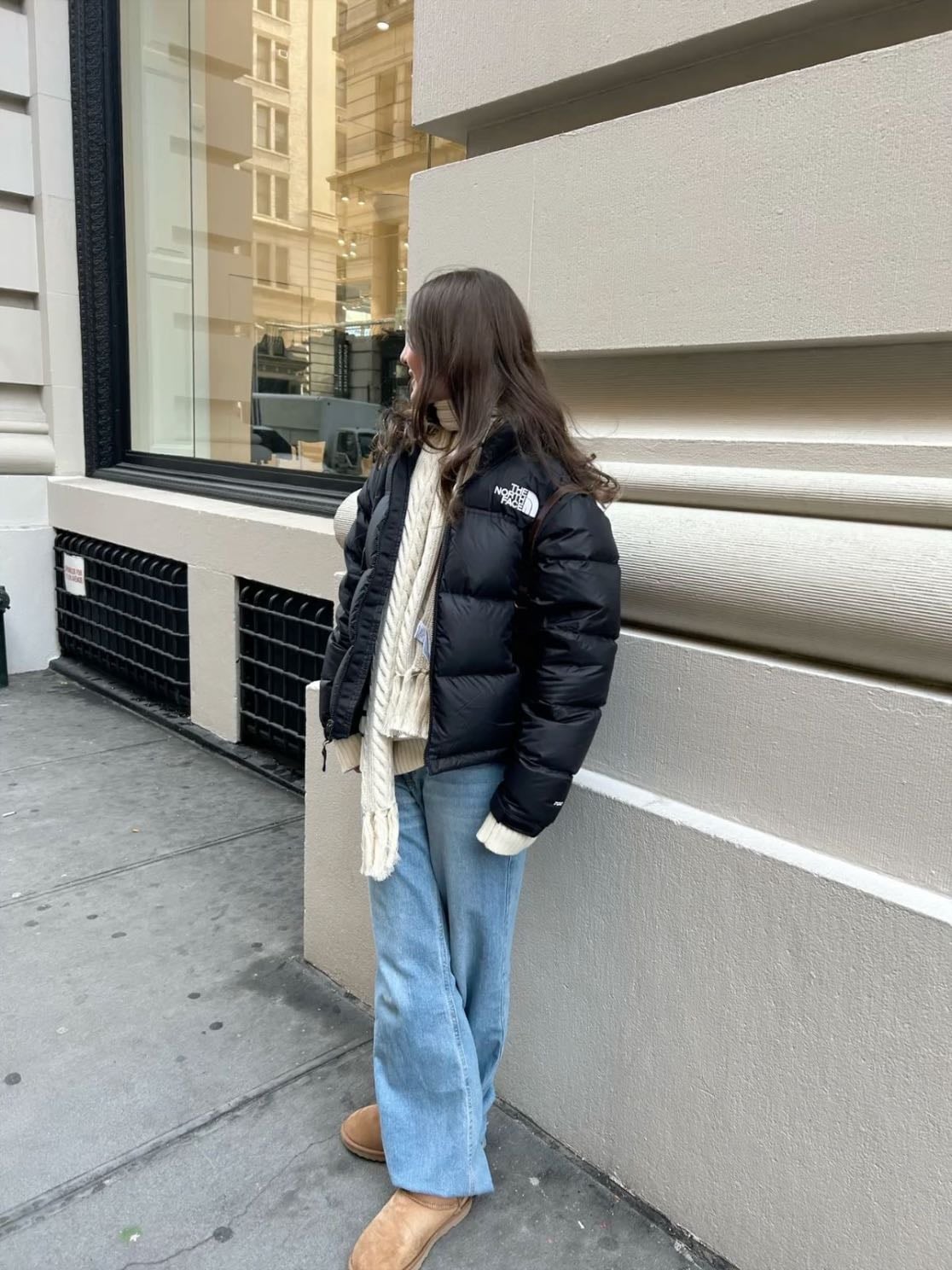 the north face jacket