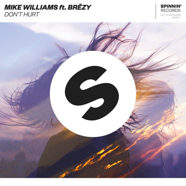 Don''t Hurt (feat. Brezy) - Song · Mike Williams, Brezy
