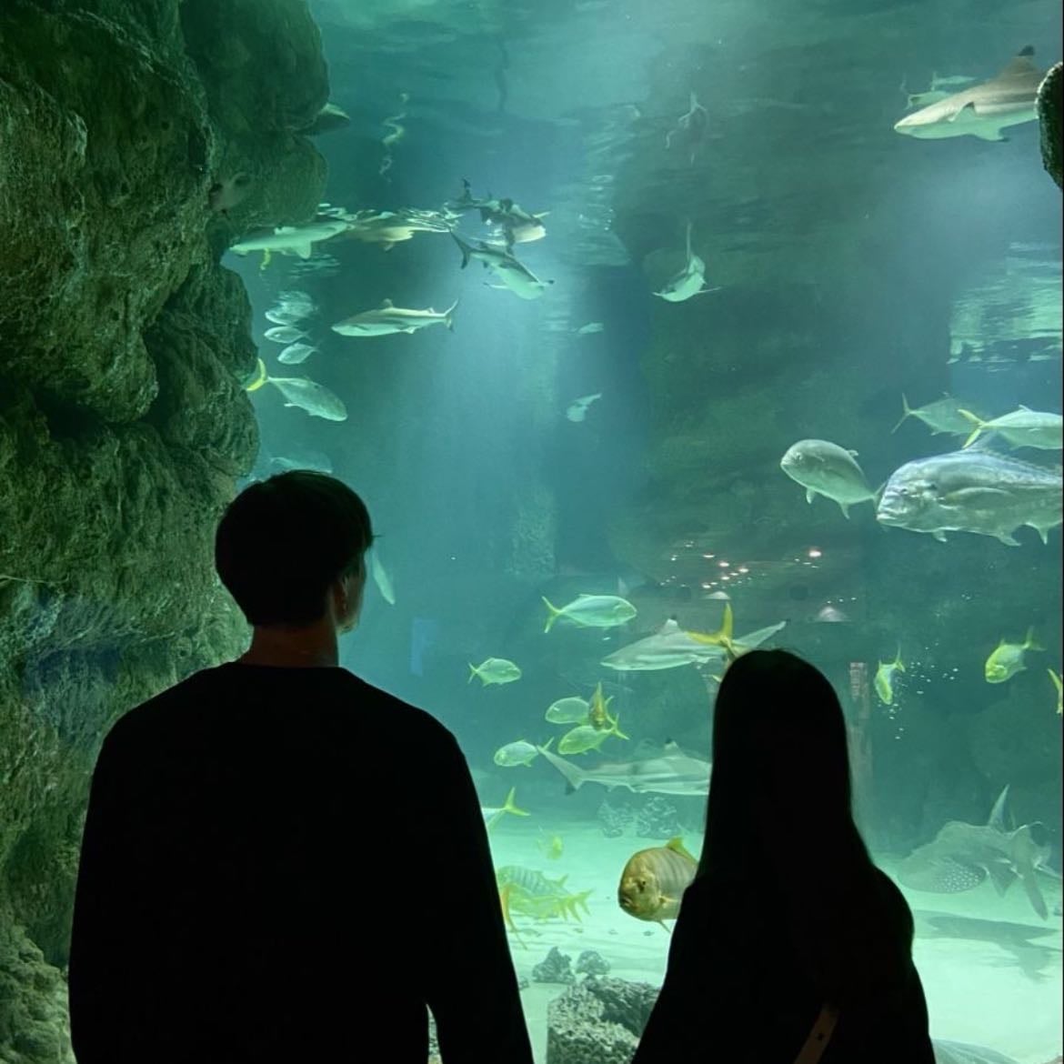 aquarium