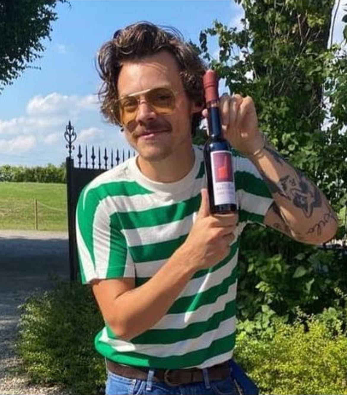 See and meet Harry Styles