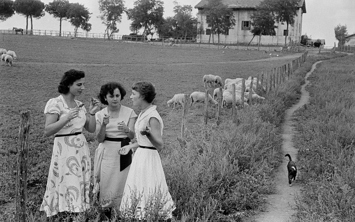 A good conversation relaxes the mind and opens the heart | Aeon Essays - Aeon Magazine