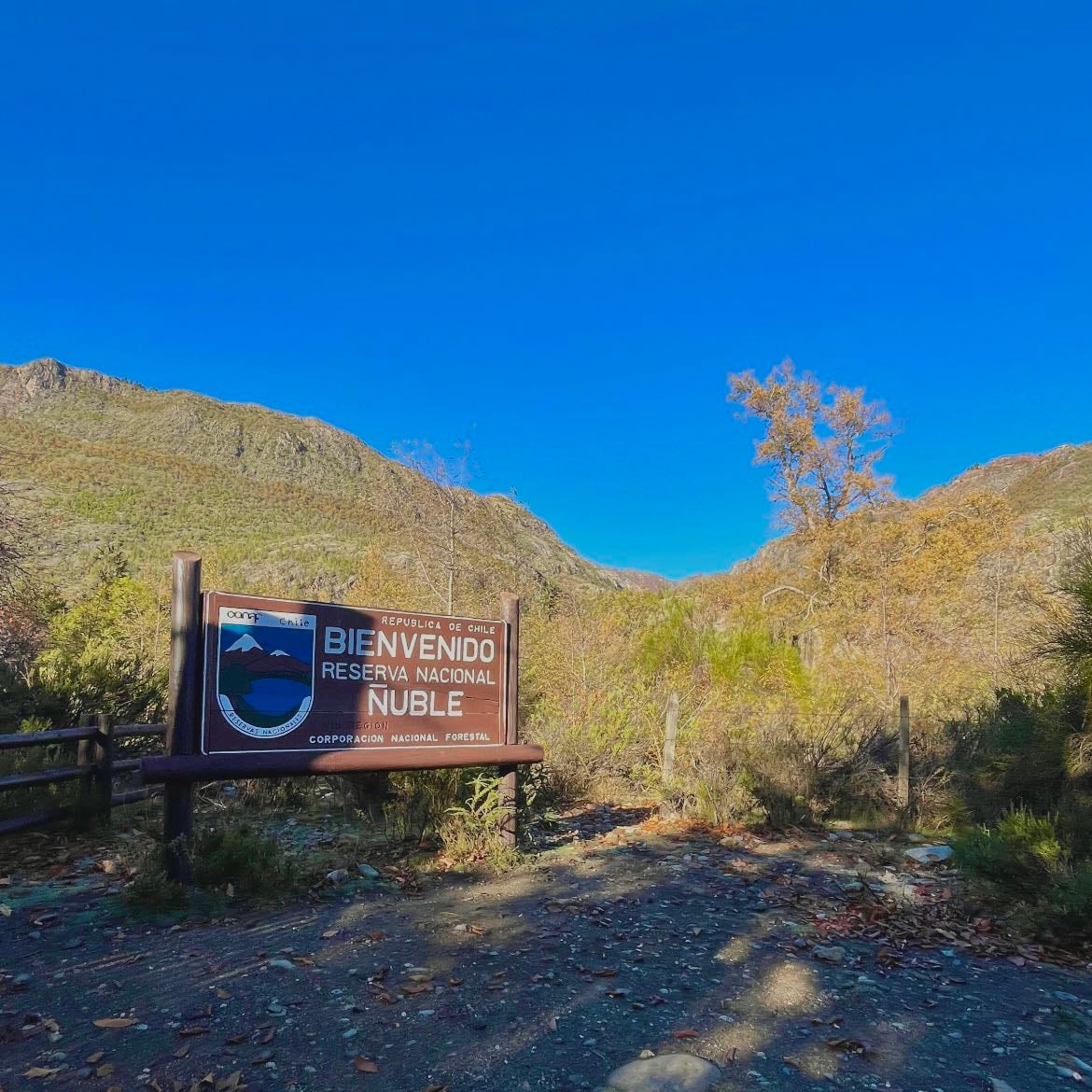 Reserva Nacional Ñuble