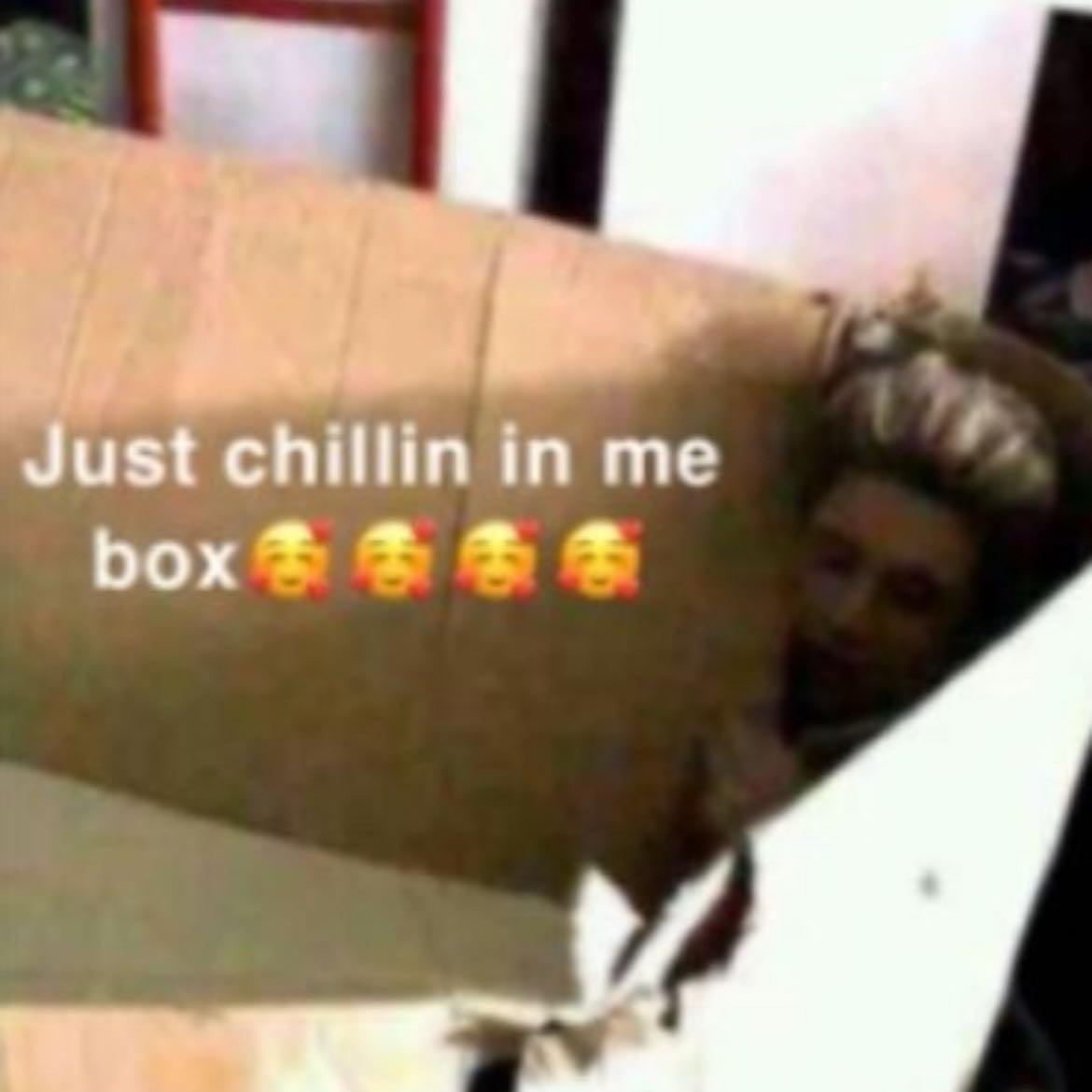 Just chillin in me box